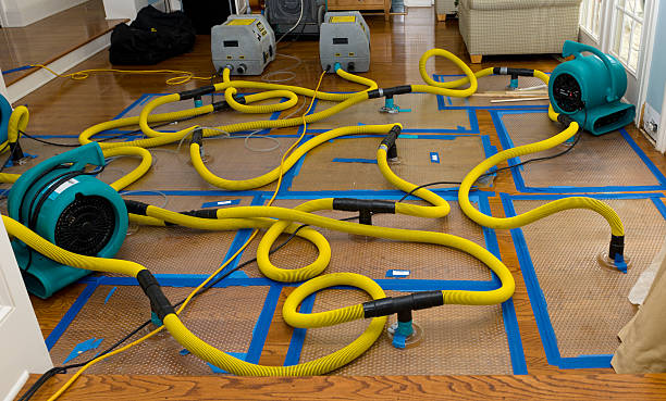 Professional Flood Damage Restoration technician working in Rock Rapids, IA